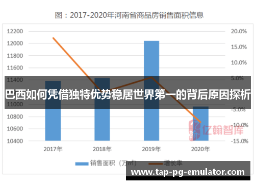 巴西如何凭借独特优势稳居世界第一的背后原因探析