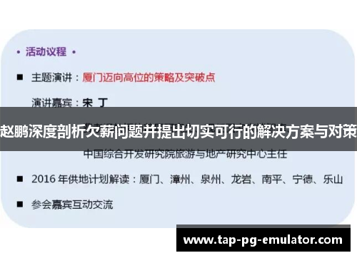 赵鹏深度剖析欠薪问题并提出切实可行的解决方案与对策